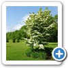 Our Landscaping & Hardscaping