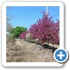 Our Nursery & Greenhouse