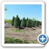 Our Nursery & Greenhouse